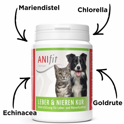Cat Dog Supplements Fit Start 50g 1 Set with various products -3- Anifit